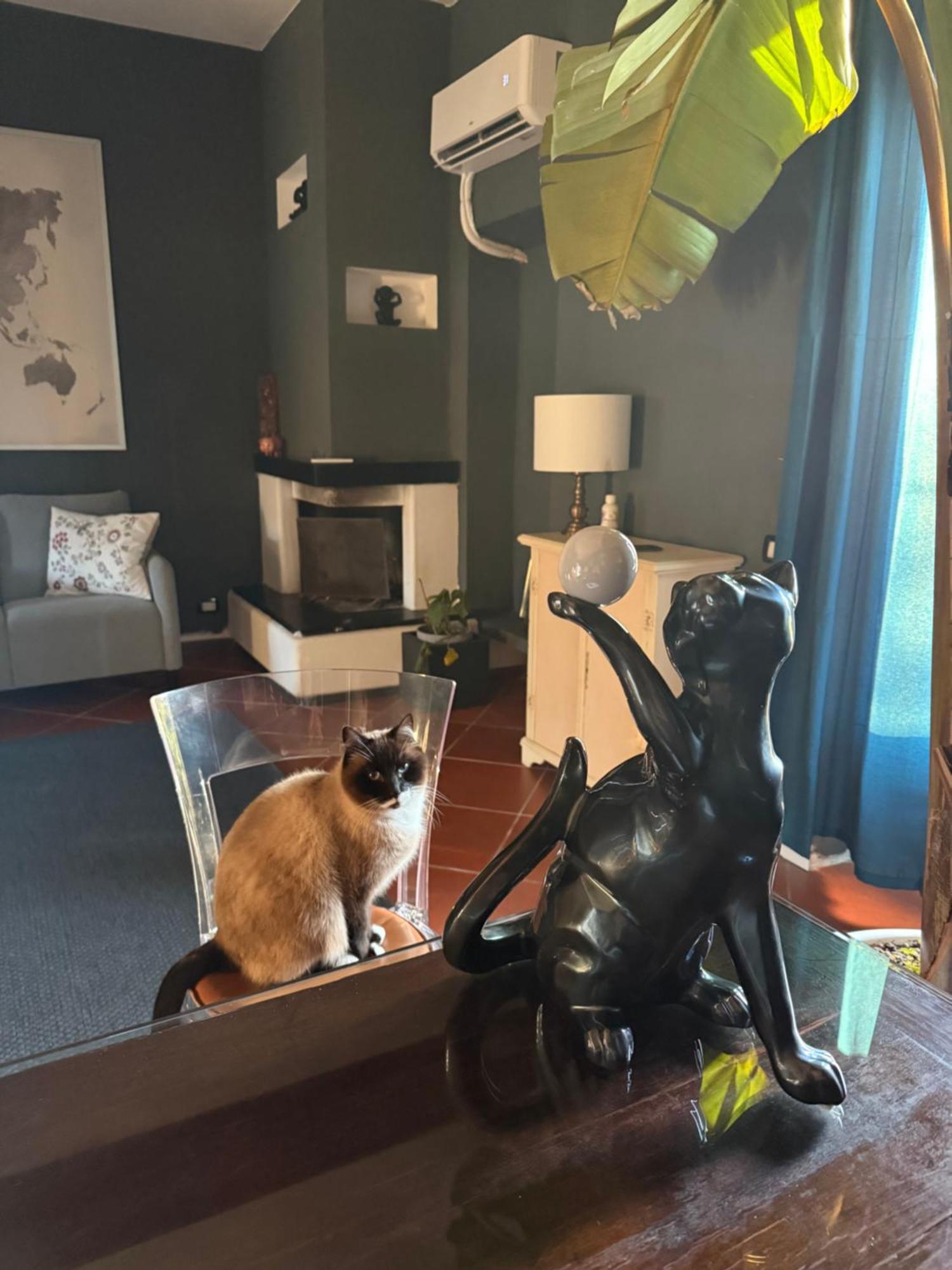 B&B Rio Grande Massarosa Dış mekan fotoğraf